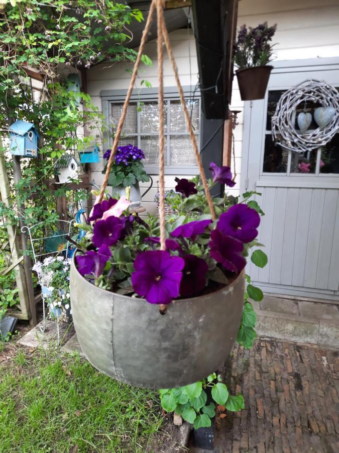 דירות Woensdrecht Anneke'S Bed En Botterhammeke מראה חיצוני תמונה