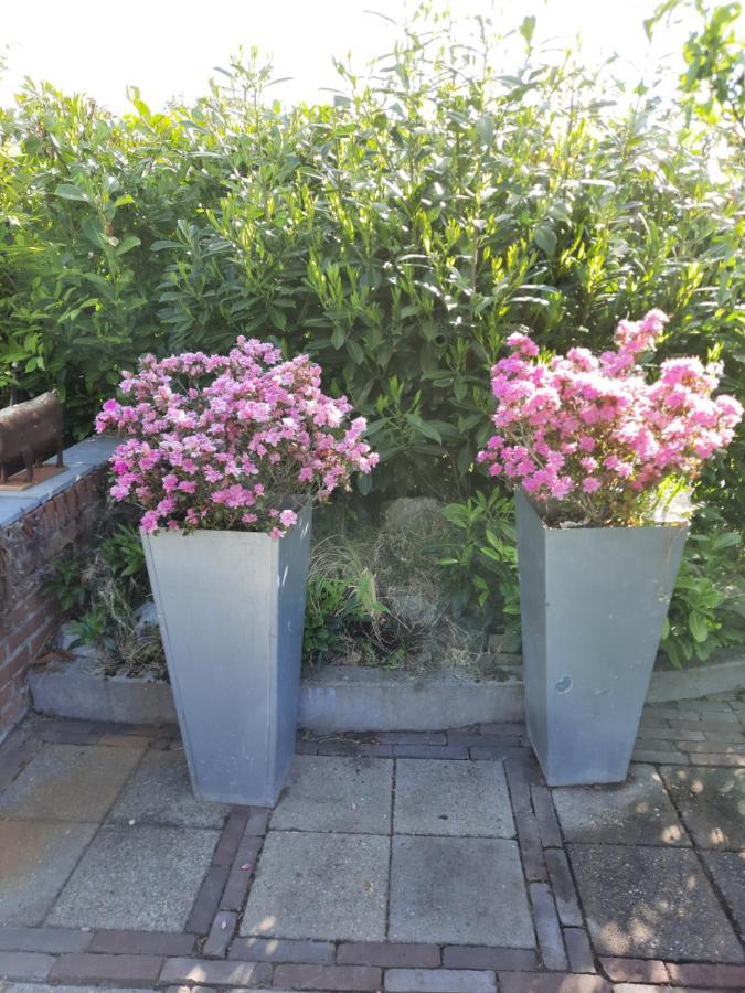דירות Woensdrecht Anneke'S Bed En Botterhammeke מראה חיצוני תמונה